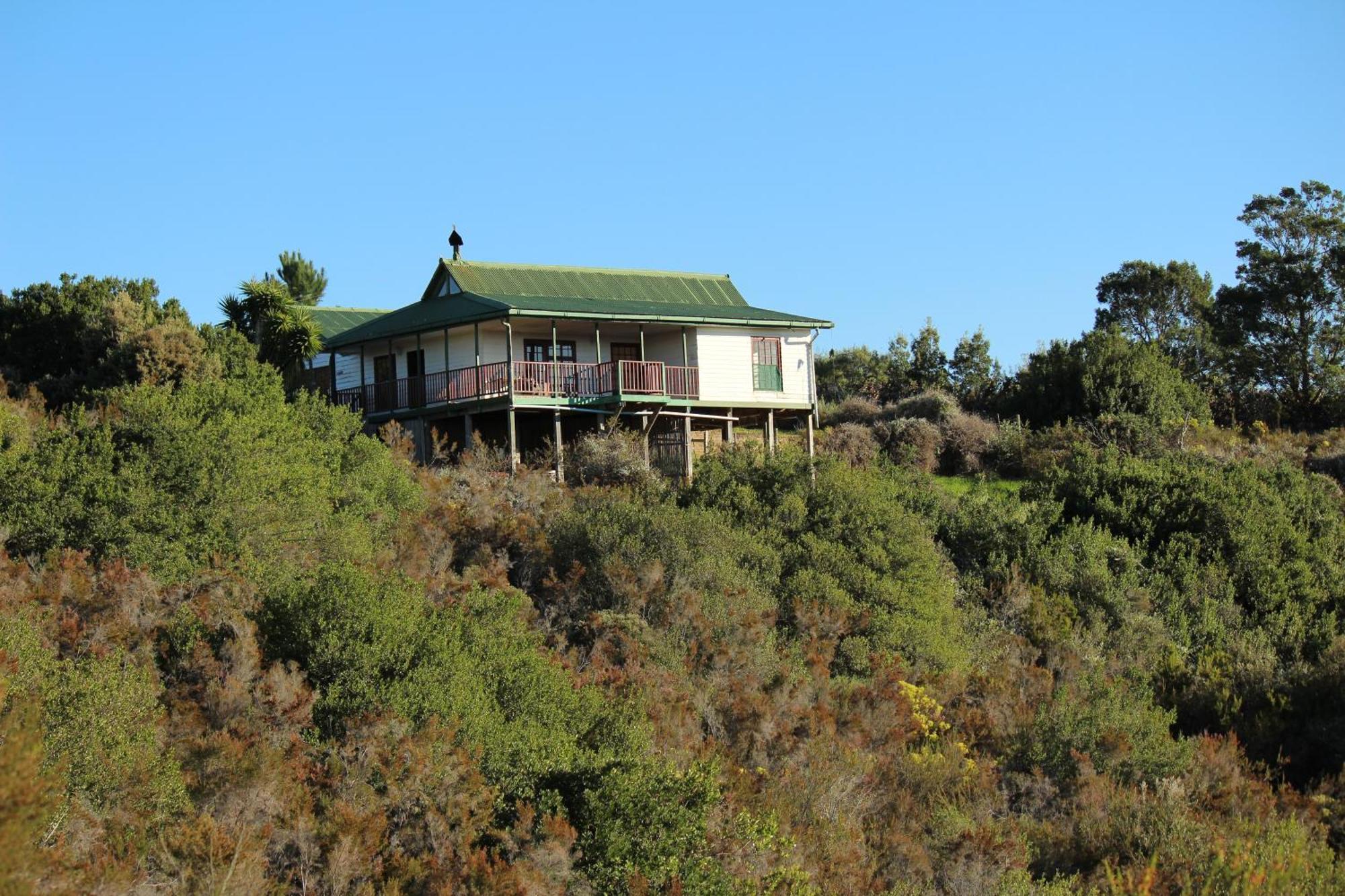 Protea Wilds Retreat Ξενοδοχείο Harkerville Εξωτερικό φωτογραφία